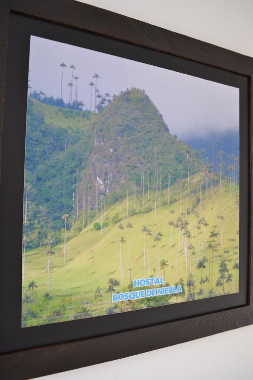 Hostal Bosque De Niebla Salento Kültér fotó